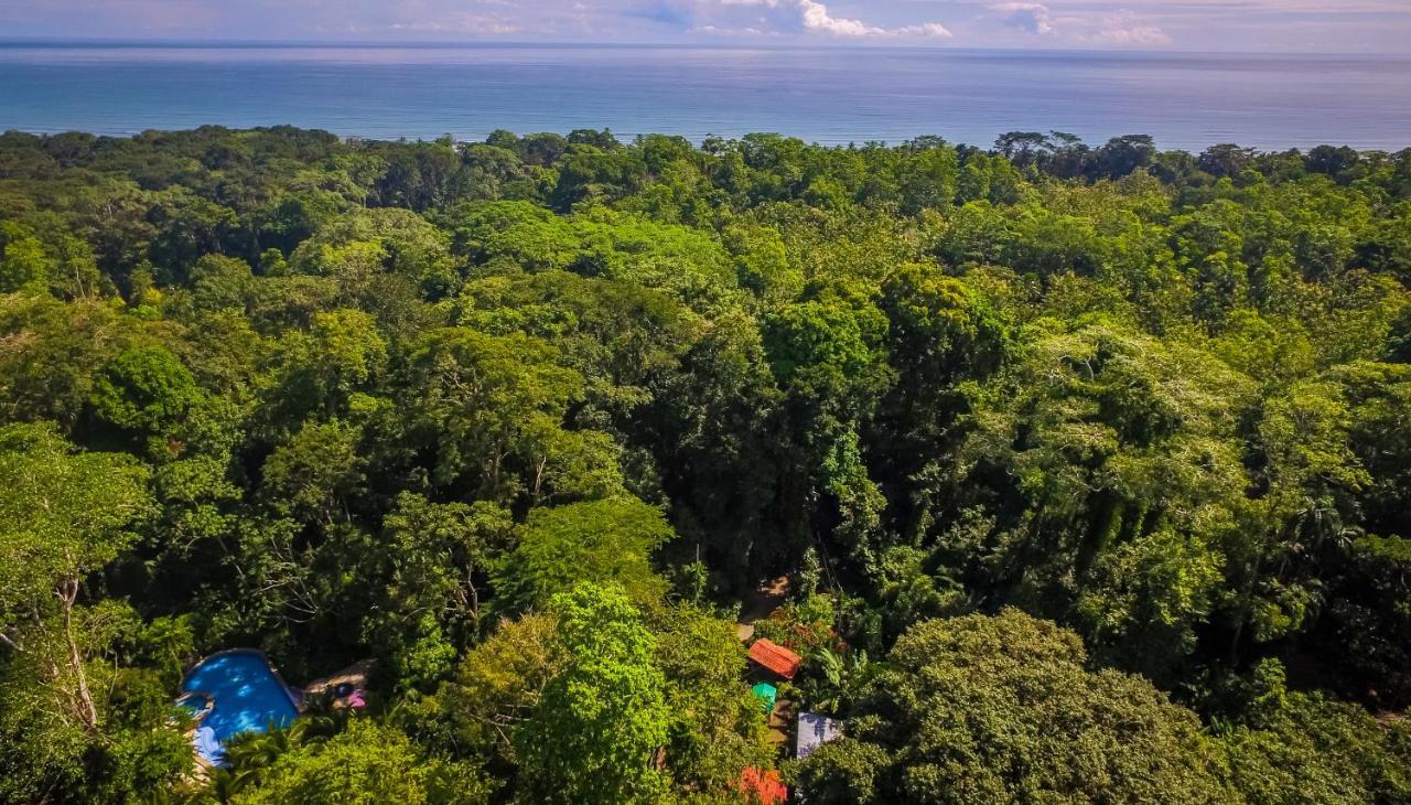 The Goddess Garden Eco-Resort Cahuita Kültér fotó
